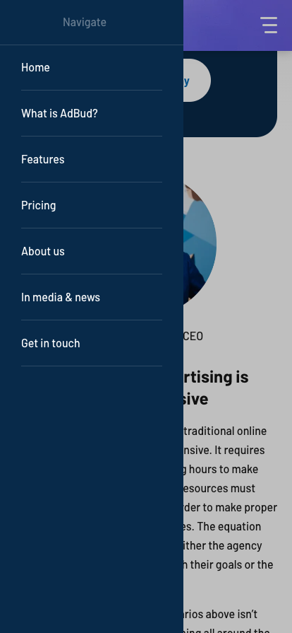 Mobile design from AdBud's new website